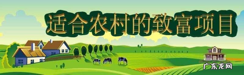 农村干什么行业能挣钱? 农村人有200万在家创业,干什么行业最挣钱?