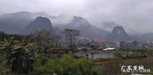 农村干什么行业能挣钱? 农村人有200万在家创业,干什么行业最挣钱?