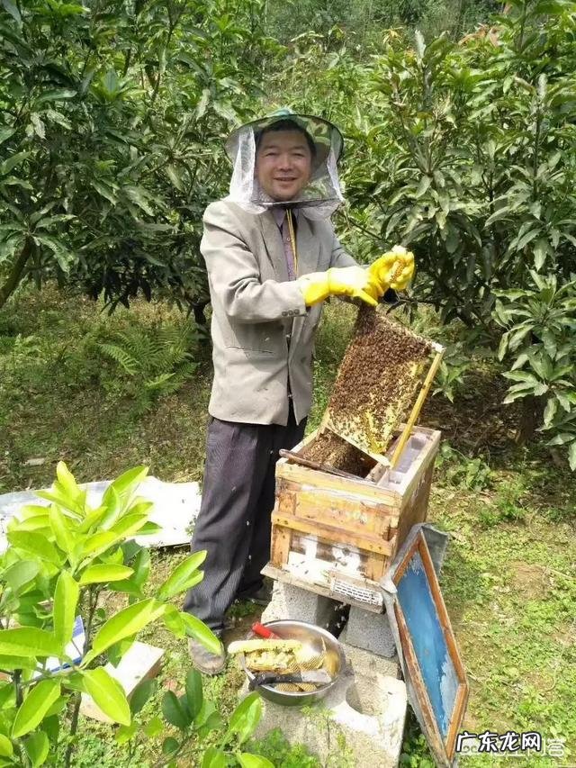 农村出来学习涉农专业的大学生如何在广大的农村创业?你有这方面的成功例子吗?