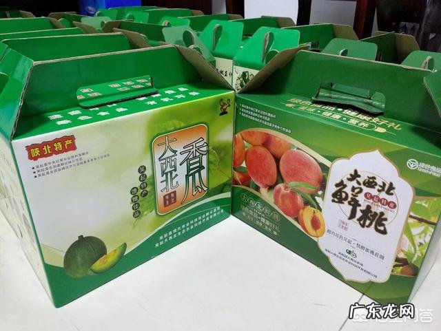 农村出来学习涉农专业的大学生如何在广大的农村创业?你有这方面的成功例子吗?