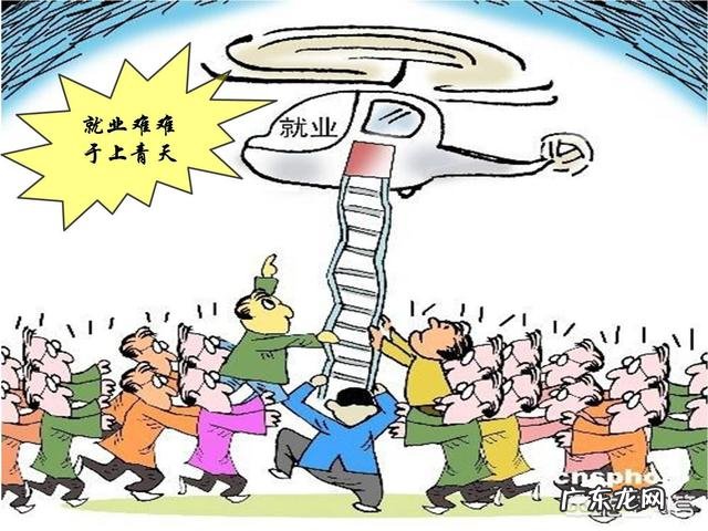 农村出来学习涉农专业的大学生如何在广大的农村创业?你有这方面的成功例子吗？