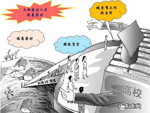 农村出来学习涉农专业的大学生如何在广大的农村创业?你有这方面的成功例子吗？