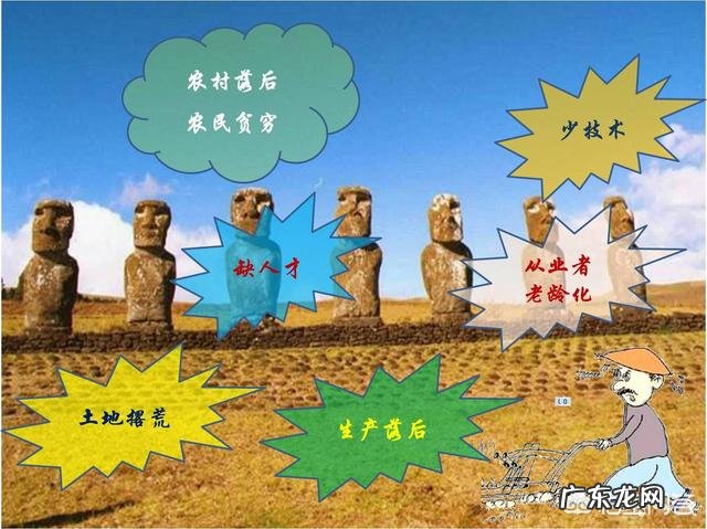 农村出来学习涉农专业的大学生如何在广大的农村创业?你有这方面的成功例子吗？