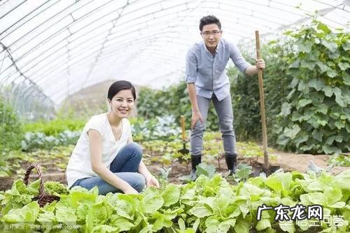 国家征收农村土地补偿最新政策? 在农村创业,如何借力于政府政策,你有什么高招呢?