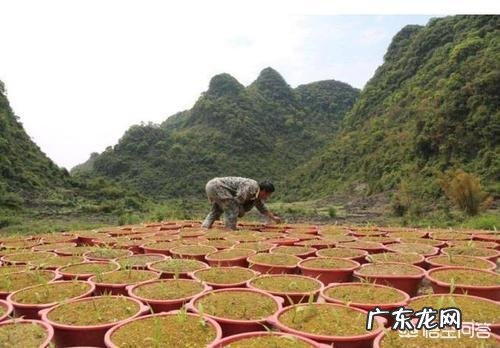 国家征收农村土地补偿最新政策? 在农村创业,如何借力于政府政策,你有什么高招呢?