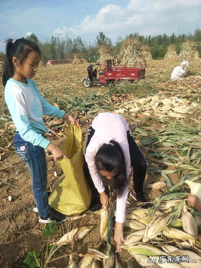 农村小资本创业项目? 要想在农村创业,但是没有资本该怎么办?