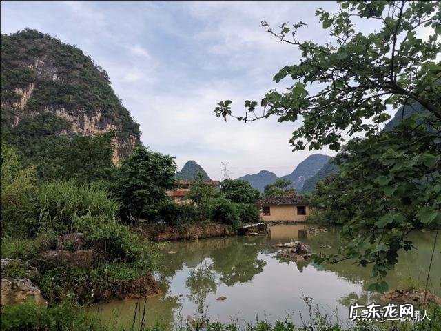 低风险创业项目? 回农村创业搞什么养殖低风险?