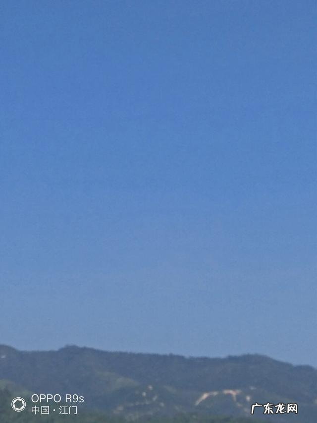 农村创业养殖好项目？ 想回农村创业，养殖什么好？