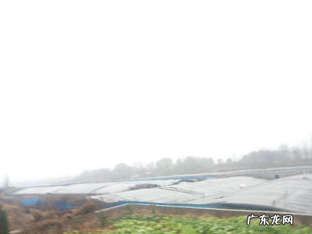 农村没本钱养什么好? 农村创业养殖什么好?