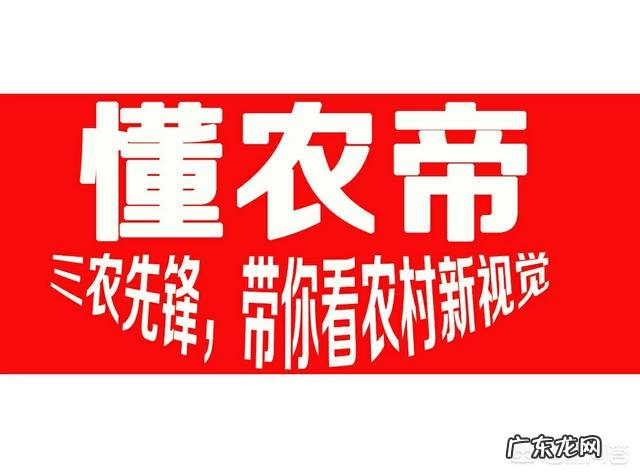 农民打工要不到钱应该怎么办? 现在有些农民都不去外面打工了,开始回到老家搞农业创业,你身边有成功的例子吗?