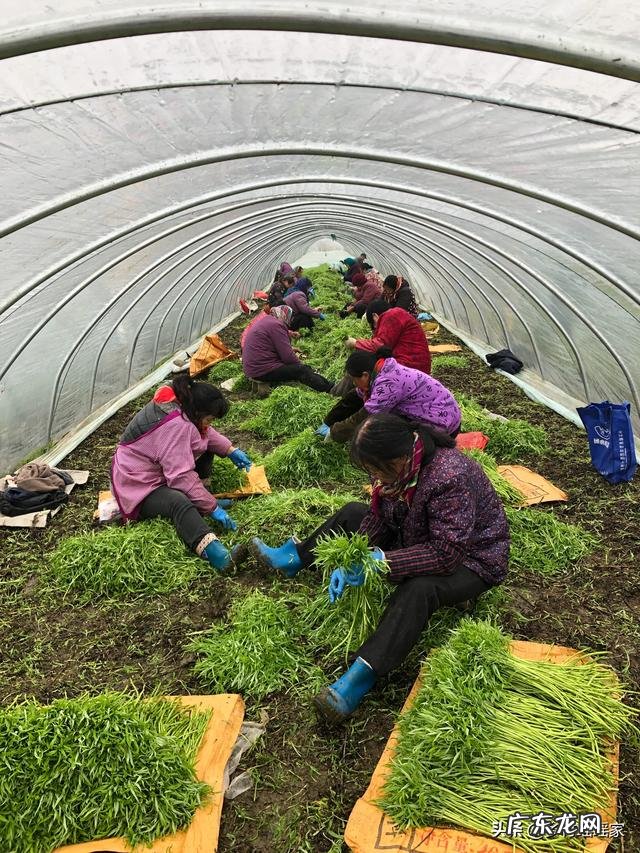 90后创业成功人士? 90后有在农村创业的嘛?