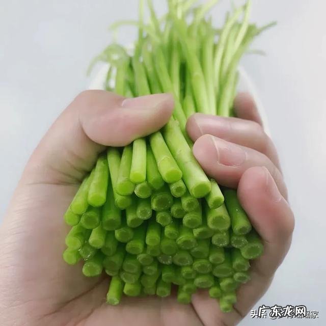 90后创业成功人士? 90后有在农村创业的嘛?