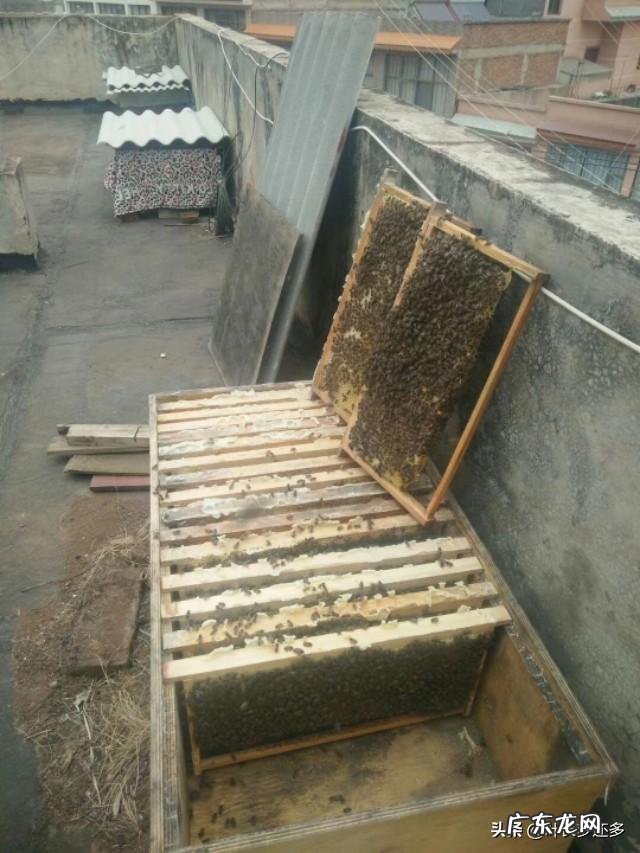 90后创业成功人士？ 90后有在农村创业的嘛？