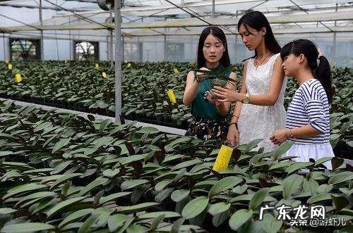 90后创业成功人士? 90后有在农村创业的嘛?