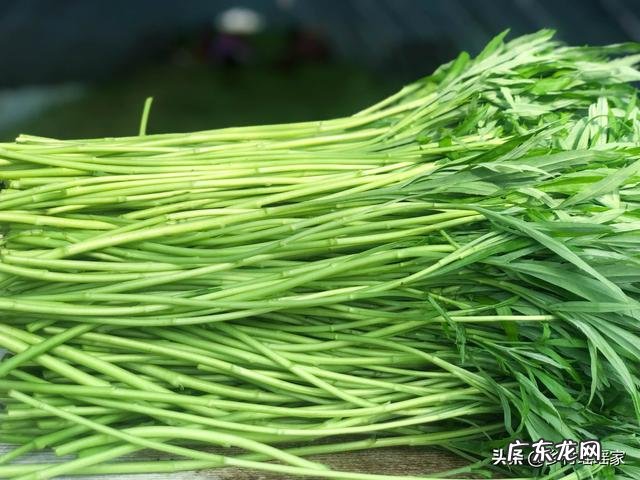 90后创业成功人士? 90后有在农村创业的嘛?