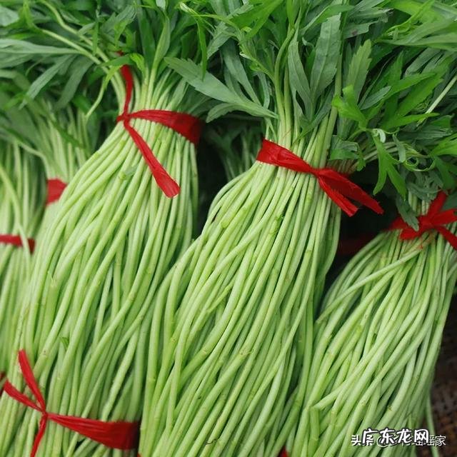 90后创业成功人士? 90后有在农村创业的嘛?