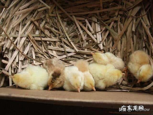 90后创业成功人士? 90后有在农村创业的嘛?