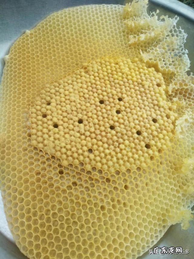 90后创业成功人士？ 90后有在农村创业的嘛？