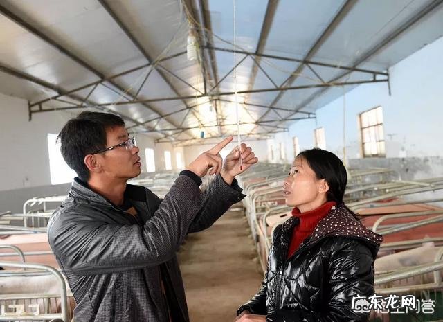 农村致富创业网? 你身边有好的农村创业典型吗?他们是如何成功的?