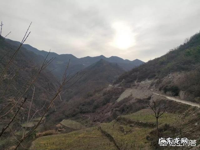 新农业创业项目？ 2019年你会回农村老家创业吗？