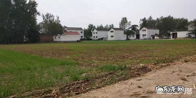 新农业创业项目? 2019年你会回农村老家创业吗?