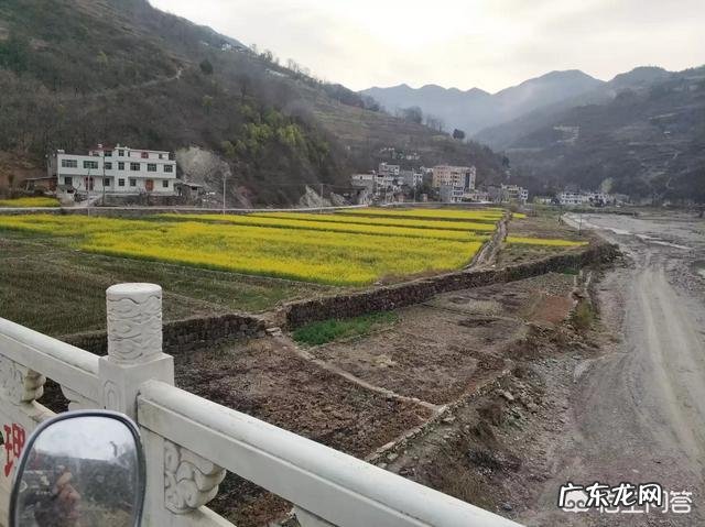 新农业创业项目？ 2019年你会回农村老家创业吗？