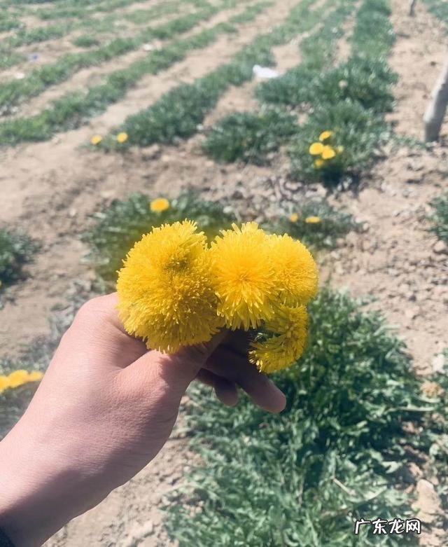 三农是哪三农？ 农民没有资金和人脉，怎样依托三农在农村创业呢？