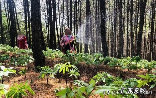 三农是哪三农？ 农民没有资金和人脉，怎样依托三农在农村创业呢？