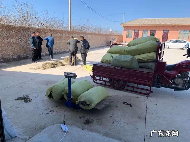 三农是哪三农？ 农民没有资金和人脉，怎样依托三农在农村创业呢？