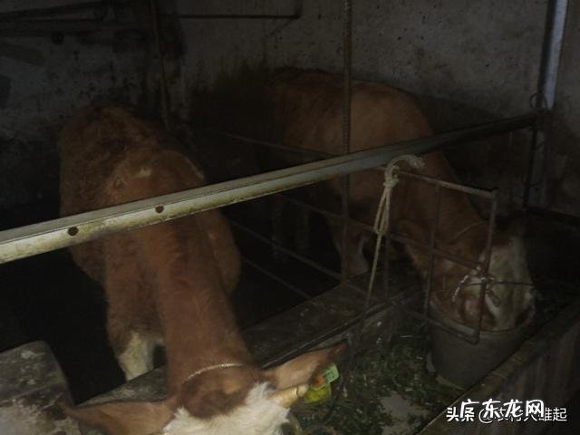 三农是哪三农？ 农民没有资金和人脉，怎样依托三农在农村创业呢？