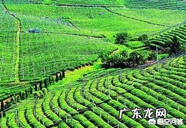 农村致富项目大全? 2019年农村创业有什么好的项目推荐?