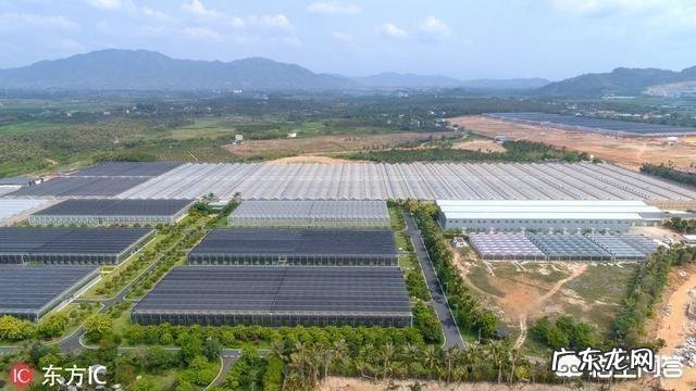 农村致富项目大全? 2019年农村创业有什么好的项目推荐?