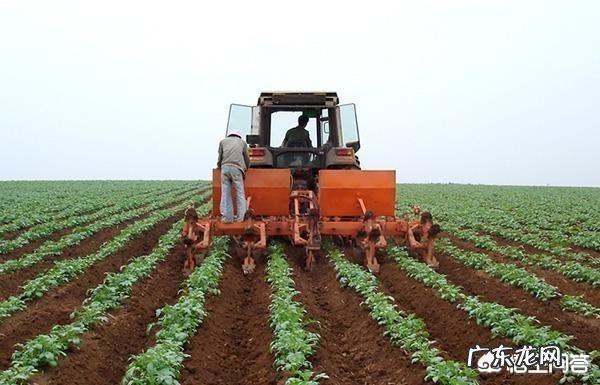 农村致富项目大全? 2019年农村创业有什么好的项目推荐?