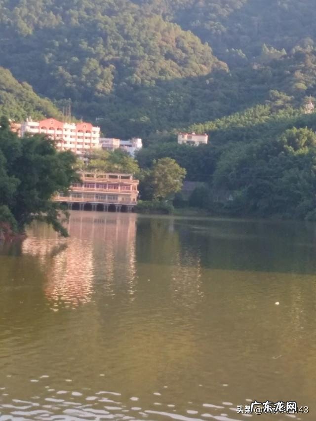 今年农民种地有补贴吗? 什么样的人在农村种地,什么样的人在农村创业?