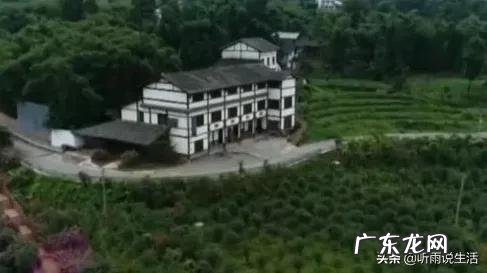 今年农民种地有补贴吗? 什么样的人在农村种地,什么样的人在农村创业?