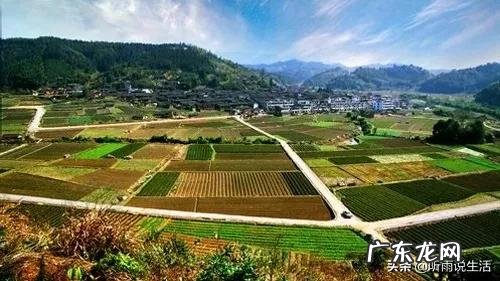 今年农民种地有补贴吗? 什么样的人在农村种地,什么样的人在农村创业?