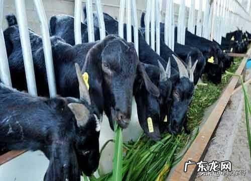 今年农民种地有补贴吗? 什么样的人在农村种地,什么样的人在农村创业?