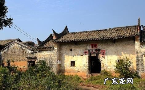 今年农民种地有补贴吗? 什么样的人在农村种地,什么样的人在农村创业?