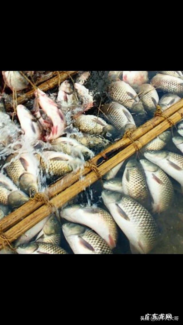 农村创业好项目有哪些？ 农村人创业机会大吗？