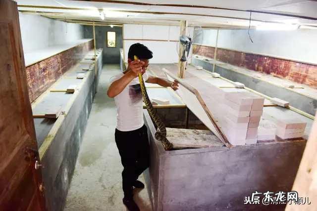 农村创业好项目有哪些？ 农村人创业机会大吗？