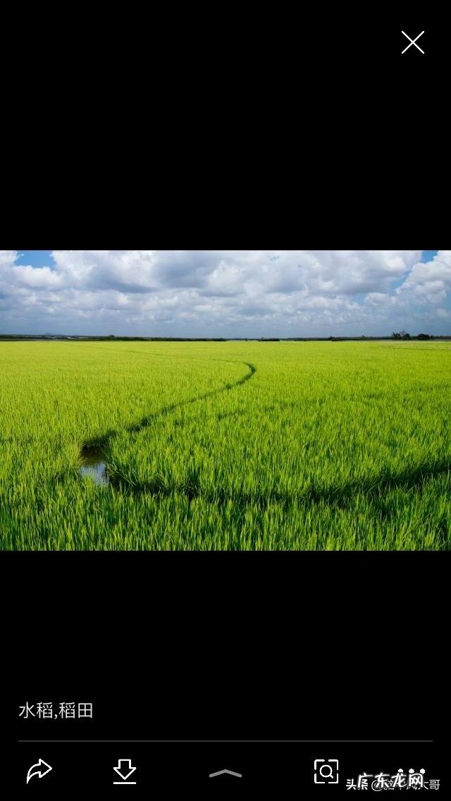 农村创业好项目有哪些？ 农村人创业机会大吗？