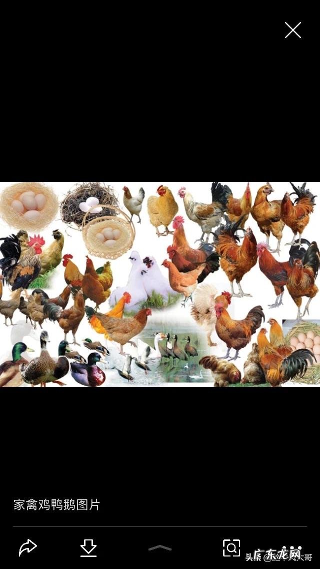 农村创业好项目有哪些？ 农村人创业机会大吗？