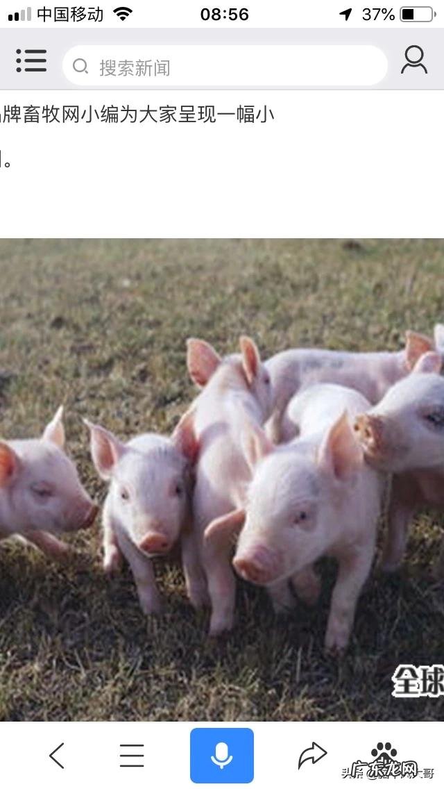 农村创业好项目有哪些？ 农村人创业机会大吗？