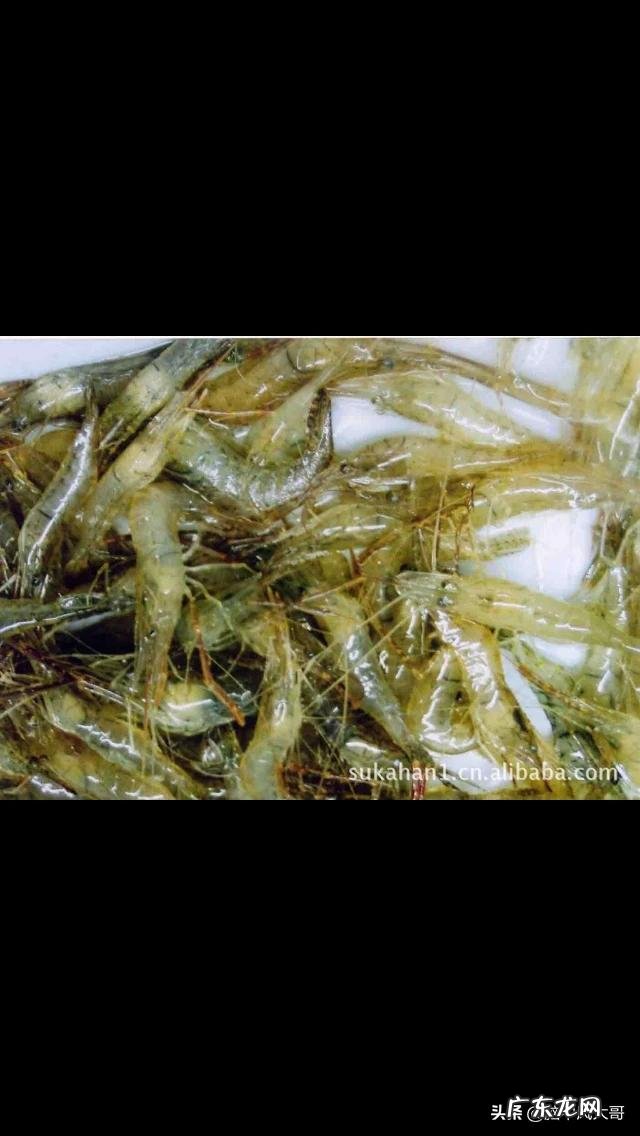 农村创业好项目有哪些？ 农村人创业机会大吗？