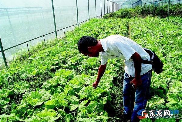 在农村找人办事真难？ 为什么农村人创业那么难？