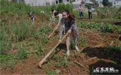 在农村找人办事真难？ 为什么农村人创业那么难？