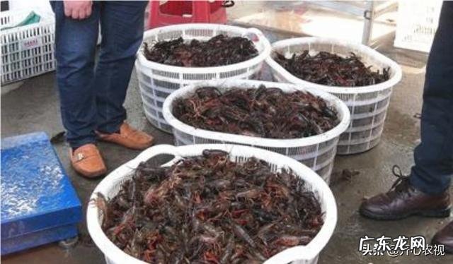 在农村找人办事真难？ 为什么农村人创业那么难？