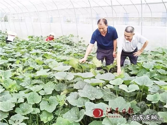 在农村找人办事真难？ 为什么农村人创业那么难？