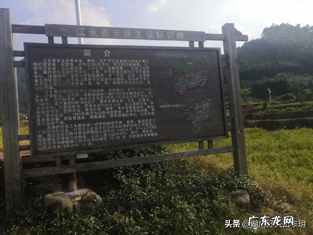 在农村找人办事真难？ 为什么农村人创业那么难？