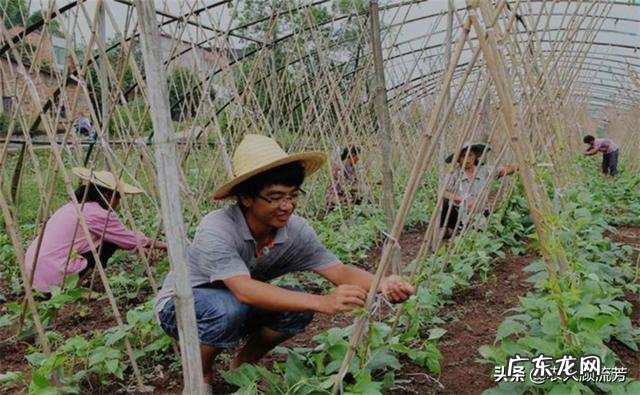 在农村找人办事真难? 为什么农村人创业那么难?